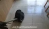 Grout Cleaners Near Me: Top Recommendations for Longcross
