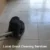 Grout Cleaners Near Me: Top Recommendations for Longcross