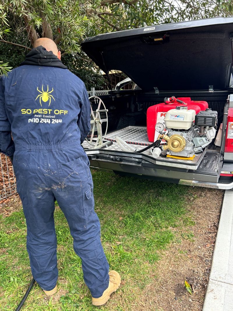 Termite Treatment