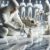 Trustworthy Marble Cleaning Company in Cricklewood