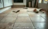Grout Cleaning Services in Battersea Available Now