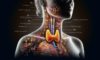 Thyroid Blood Test in Aylesbury: Quick and Reliable Service