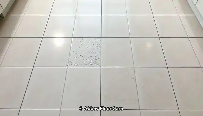Grout Sealing Methods for Optimal Long-Term Protection