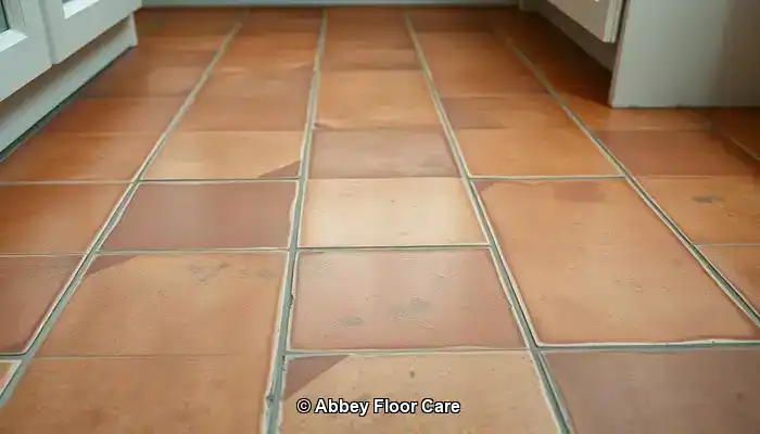 What Causes Terracotta to Become Dirty So Quickly?