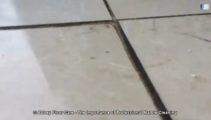 Marble Cleaner Near Me: The Importance of Professional Marble Cleaning