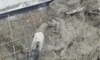 Concrete Driveway Installation in Newcastle and Hunter Region