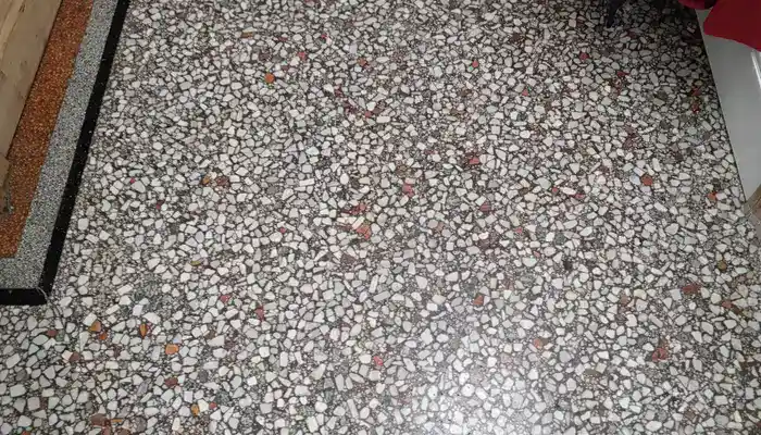 Terrazzo Floors: Close-up of terrazzo floor showing decorative aggregate set in a cement binder