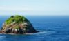 Belize Bird Island Travel Guide: Essential Exploration Tips