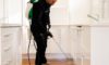 DIY Pest Control: The Shortcomings of Hardware Store Sprays