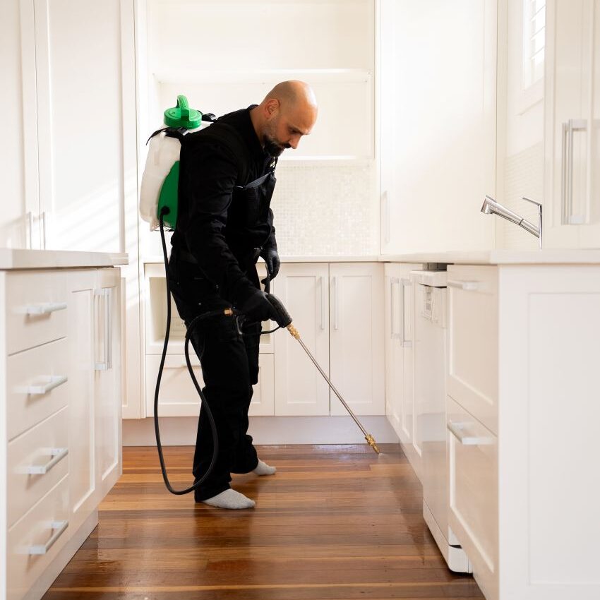 DIY Pest Control: The Shortcomings of Hardware Store Sprays