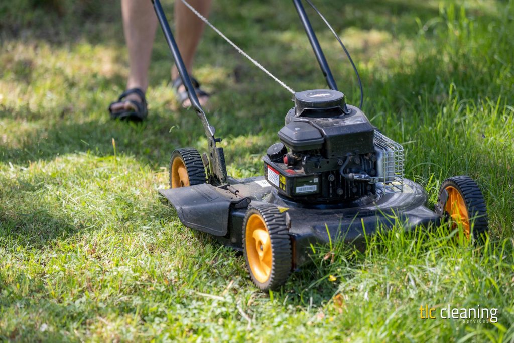 Grass Cutting Services: Essential Advice for Yeovil Lawns