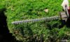 Best Practices for Hedge Trimming in Marston Magna