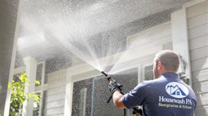 Eco-Friendly Home Washing Services: A Comprehensive Guide