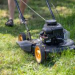 Grass Cutting Services in Ilchester: Expert Options and Tips