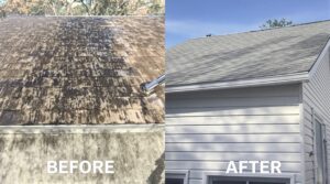 Discover the Crucial Importance of Soft Washing for Comprehensive Home Maintenance
