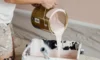 Exterior Paint Jobs: Succeed in Sydney’s Humidity With Tips