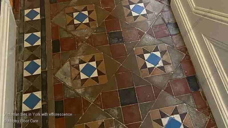 Victorian tiles with white salt deposits caused by moisture rising through the floor