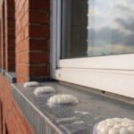 Bird Proofing Solutions: Spike-Free Gel Repellent Options