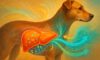 Liver Health Monitoring: Essential Care Tips for Dogs