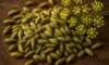 Fennel Seed Recipes for Savoury Italian and Indian Meals