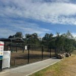 Tree Planting Event at Rutherford Dog Park in Maitland