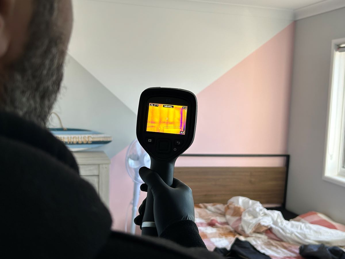 termite inspections