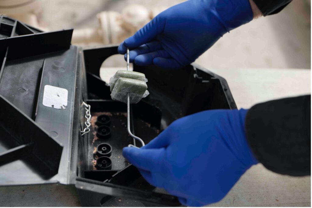 Rat Bait Laws in Australia: Key Updates You Must Know