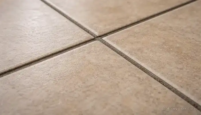 Close-up of porous grout lines between dense ceramic and porcelain tiles