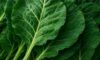 Collard Greens Recipe for a Healthy Slow Cooked Dinner