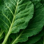 Collard Greens Recipe for a Healthy Slow Cooked Dinner