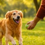 Thyroid Imbalance in Older Pets: Causes and Care Tips