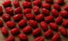 Dried Barberries: Traditional Recipes for Persian Cuisine