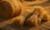 Hay and Straw: Fresh Recipe Ideas for Cooking