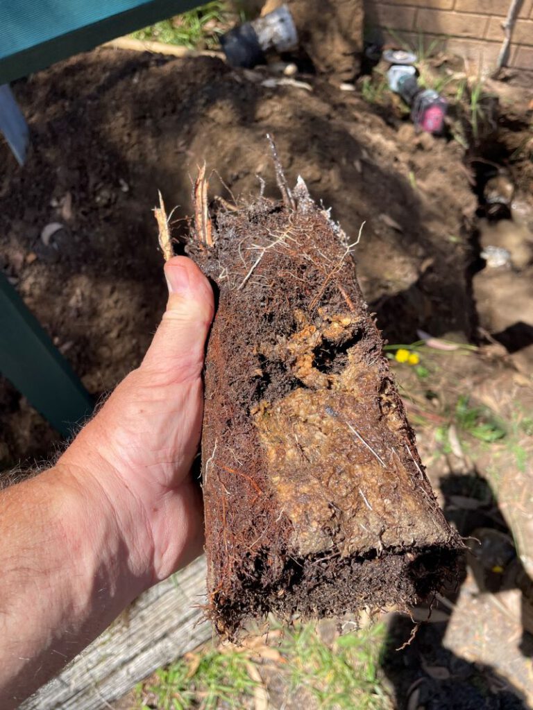 Clay Soil’s Threat to Caboolture Pipes Revealed