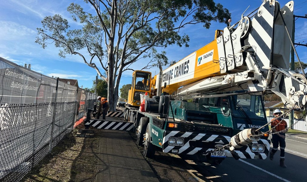 Tree removal process