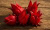 Hibiscus Flowers: Innovative Cooking Tips and Techniques