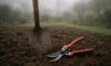 Garden Maintenance Tips for Every Season in Martock Area
