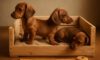 Puppy Comfort Tips for Creating a Cosy Crate Setup