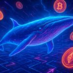 Whale Wallet Monitoring: Effective Tracking Techniques