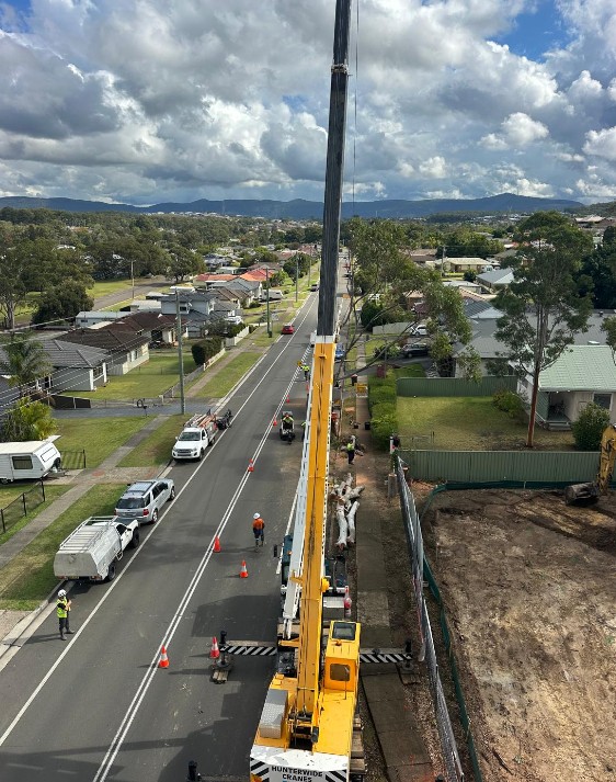 Tree successfully removed with crane assistance