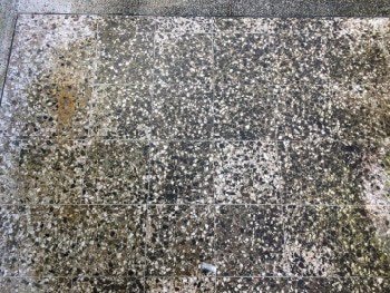Outdoor tiles well worn and stained